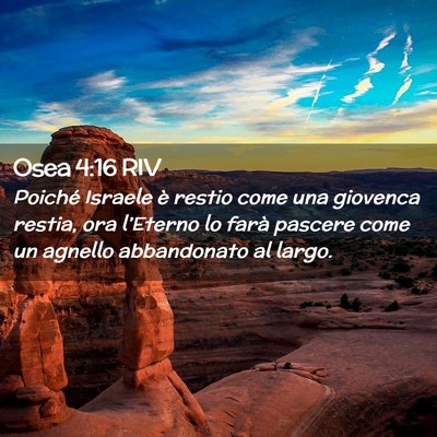 Picture 02 - Osea 4:16 RIV - Poiché Israele è restio come una giovenca - Bible Verse Picture