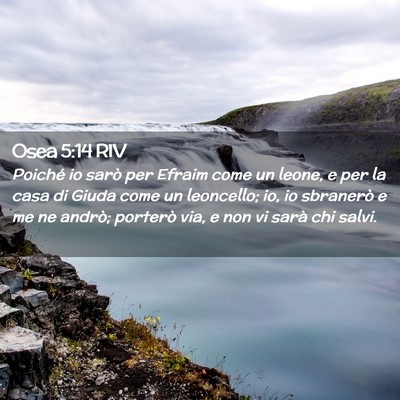 Picture 02 - Osea 5:14 RIV - Poiché io sarò per Efraim come un leone, e per - Bible Verse Picture