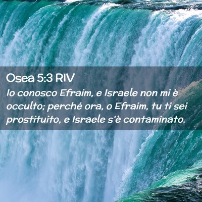 Picture 02 - Osea 5:3 RIV - Io conosco Efraim, e Israele non mi è occulto; - Bible Verse Picture