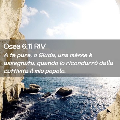 Picture 02 - Osea 6:11 RIV - A te pure, o Giuda, una mèsse è assegnata, - Bible Verse Picture