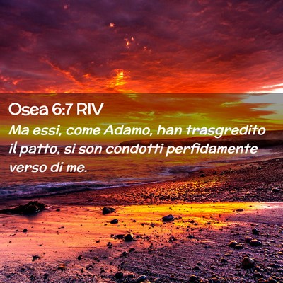 Picture 02 - Osea 6:7 RIV - Ma essi, come Adamo, han trasgredito il patto, si - Bible Verse Picture