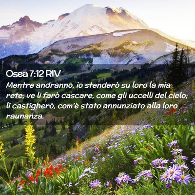 Picture 02 - Osea 7:12 RIV - Mentre andranno, io stenderò su loro la mia - Bible Verse Picture