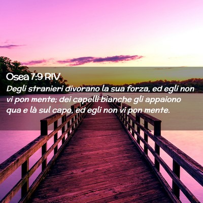 Picture 02 - Osea 7:9 RIV - Degli stranieri divorano la sua forza, ed egli - Bible Verse Picture