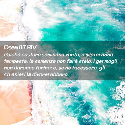 Picture 02 - Osea 8:7 RIV - Poiché costoro seminano vento, e mieteranno - Bible Verse Picture