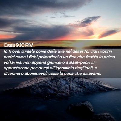 Picture 02 - Osea 9:10 RIV - Io trovai Israele come delle uve nel deserto; - Bible Verse Picture