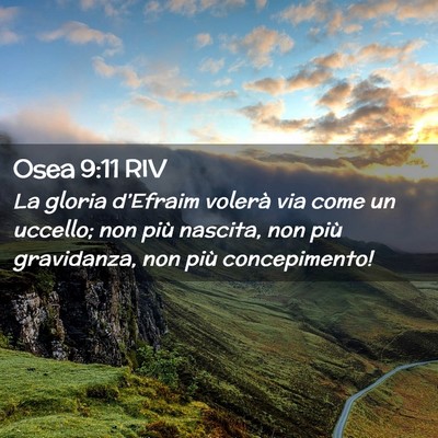 Picture 02 - Osea 9:11 RIV - La gloria d’Efraim volerà via come un uccello; - Bible Verse Picture