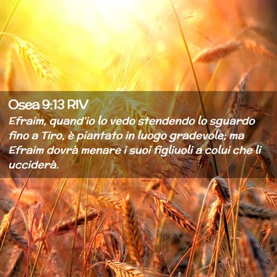 Picture 02 - Osea 9:13 RIV - Efraim, quand’io lo vedo stendendo lo sguardo - Bible Verse Picture