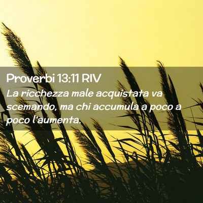 Picture 02 - Proverbi 13:11 RIV - La ricchezza male acquistata va scemando, ma chi - Bible Verse Picture