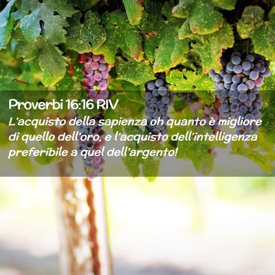 Picture 02 - Proverbi 16:16 RIV - L’acquisto della sapienza oh quanto è migliore - Bible Verse Picture