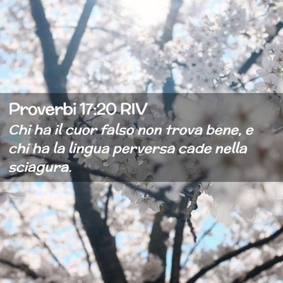 Picture 02 - Proverbi 17:20 RIV - Chi ha il cuor falso non trova bene, e chi ha la - Bible Verse Picture