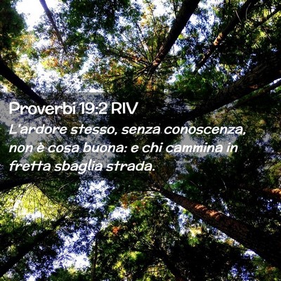Picture 02 - Proverbi 19:2 RIV - L’ardore stesso, senza conoscenza, non è cosa - Bible Verse Picture