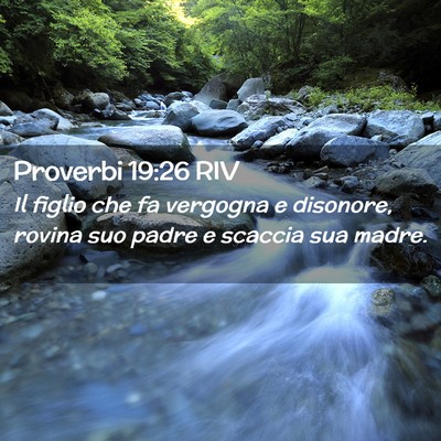 Picture 02 - Proverbi 19:26 RIV - Il figlio che fa vergogna e disonore, rovina suo - Bible Verse Picture