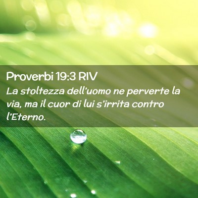 Picture 02 - Proverbi 19:3 RIV - La stoltezza dell’uomo ne perverte la via, ma - Bible Verse Picture