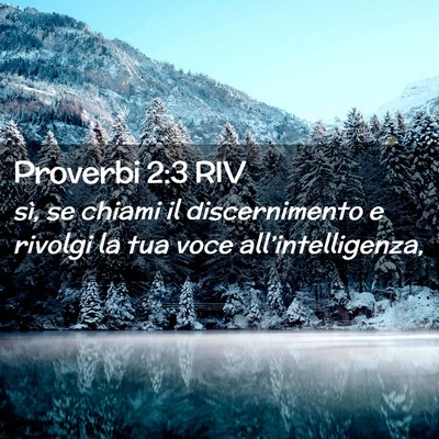 Picture 02 - Proverbi 2:3 RIV - sì, se chiami il discernimento e rivolgi la tua - Bible Verse Picture