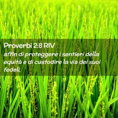 Picture 02 - Proverbi 2:8 RIV - affin di proteggere i sentieri della equità e di - Bible Verse Picture