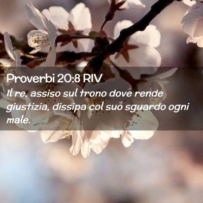 Picture 02 - Proverbi 20:8 RIV - Il re, assiso sul trono dove rende giustizia, - Bible Verse Picture