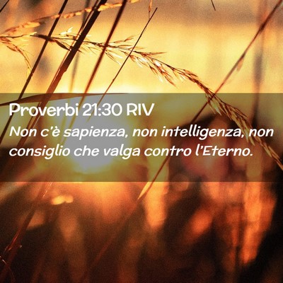 Picture 02 - Proverbi 21:30 RIV - Non c’è sapienza, non intelligenza, non - Bible Verse Picture