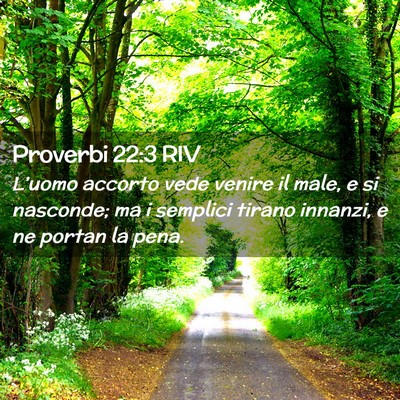Picture 02 - Proverbi 22:3 RIV - L’uomo accorto vede venire il male, e si - Bible Verse Picture