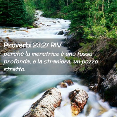 Picture 02 - Proverbi 23:27 RIV - perché la meretrice è una fossa profonda, e la - Bible Verse Picture
