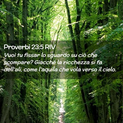 Picture 02 - Proverbi 23:5 RIV - Vuoi tu fissar lo sguardo su ciò che scompare? - Bible Verse Picture
