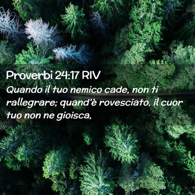 Picture 02 - Proverbi 24:17 RIV - Quando il tuo nemico cade, non ti rallegrare; - Bible Verse Picture