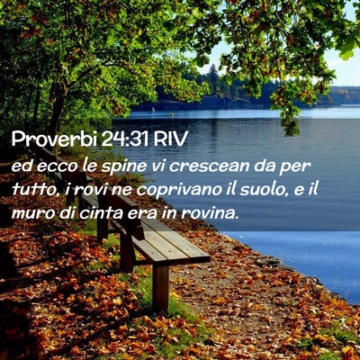 Picture 02 - Proverbi 24:31 RIV - ed ecco le spine vi crescean da per tutto, i rovi - Bible Verse Picture