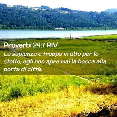 Picture 02 - Proverbi 24:7 RIV - La sapienza è troppo in alto per lo stolto; egli - Bible Verse Picture