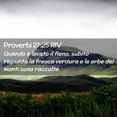 Picture 02 - Proverbi 27:25 RIV - Quando è levato il fieno, subito rispunta la - Bible Verse Picture