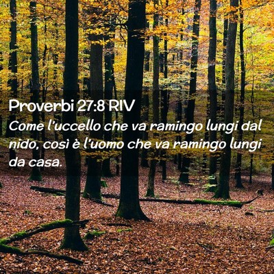 Picture 02 - Proverbi 27:8 RIV - Come l’uccello che va ramingo lungi dal nido, - Bible Verse Picture