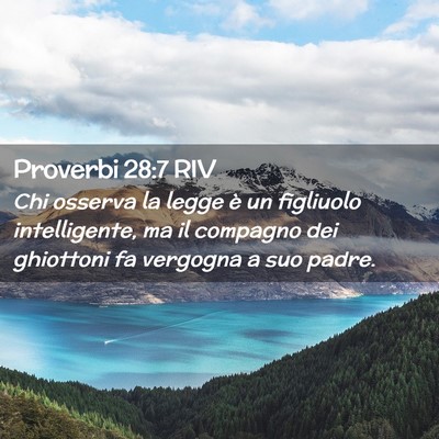 Picture 02 - Proverbi 28:7 RIV - Chi osserva la legge è un figliuolo - Bible Verse Picture