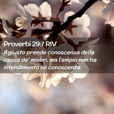 Picture 02 - Proverbi 29:7 RIV - Il giusto prende conoscenza della causa de’ - Bible Verse Picture
