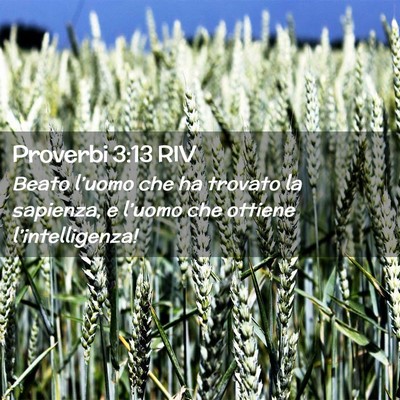 Picture 02 - Proverbi 3:13 RIV - Beato l’uomo che ha trovato la sapienza, e - Bible Verse Picture