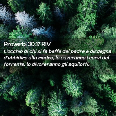 Picture 02 - Proverbi 30:17 RIV - L’occhio di chi si fa beffe del padre e - Bible Verse Picture
