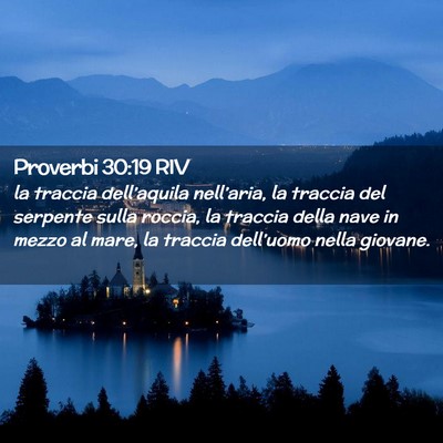 Picture 02 - Proverbi 30:19 RIV - la traccia dell’aquila nell’aria, la traccia - Bible Verse Picture