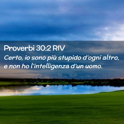 Picture 02 - Proverbi 30:2 RIV - Certo, io sono più stupido d’ogni altro, e non - Bible Verse Picture