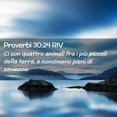 Picture 02 - Proverbi 30:24 RIV - Ci son quattro animali fra i più piccoli della - Bible Verse Picture