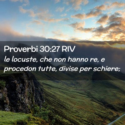 Picture 02 - Proverbi 30:27 RIV - le locuste, che non hanno re, e procedon tutte, - Bible Verse Picture