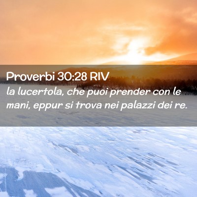 Picture 02 - Proverbi 30:28 RIV - la lucertola, che puoi prender con le mani, eppur - Bible Verse Picture