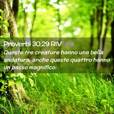 Picture 02 - Proverbi 30:29 RIV - Queste tre creature hanno una bella andatura, - Bible Verse Picture