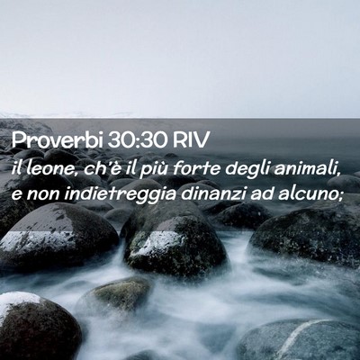 Picture 02 - Proverbi 30:30 RIV - il leone, ch’è il più forte degli animali, e - Bible Verse Picture