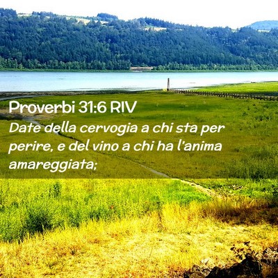 Picture 02 - Proverbi 31:6 RIV - Date della cervogia a chi sta per perire, e del - Bible Verse Picture