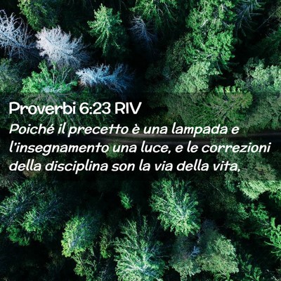 Picture 02 - Proverbi 6:23 RIV - Poiché il precetto è una lampada e - Bible Verse Picture