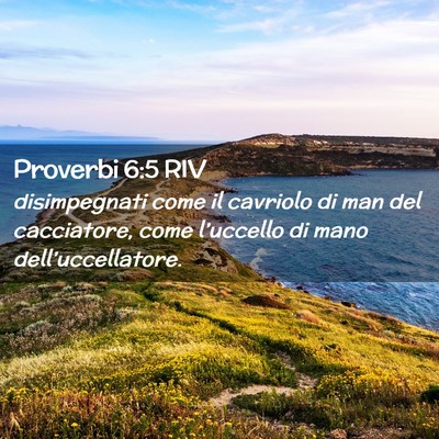 Picture 02 - Proverbi 6:5 RIV - disimpegnati come il cavriolo di man del - Bible Verse Picture