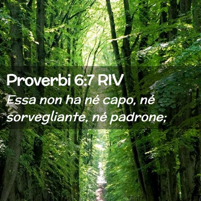 Picture 02 - Proverbi 6:7 RIV - Essa non ha né capo, né sorvegliante, né - Bible Verse Picture