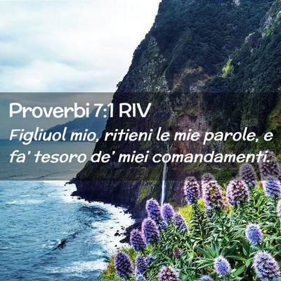 Picture 02 - Proverbi 7:1 RIV - Figliuol mio, ritieni le mie parole, e fa’ - Bible Verse Picture