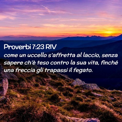 Picture 02 - Proverbi 7:23 RIV - come un uccello s’affretta al laccio, senza - Bible Verse Picture