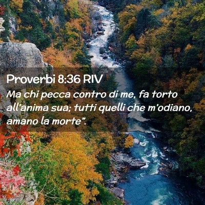 Picture 02 - Proverbi 8:36 RIV - Ma chi pecca contro di me, fa torto all’anima - Bible Verse Picture