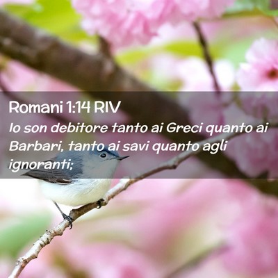 Picture 02 - Romani 1:14 RIV - Io son debitore tanto ai Greci quanto ai Barbari, - Bible Verse Picture