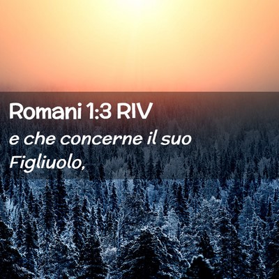 Picture 02 - Romani 1:3 RIV - e che concerne il suo - Bible Verse Picture
