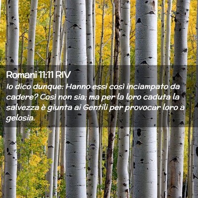 Picture 02 - Romani 11:11 RIV - Io dico dunque: Hanno essi così inciampato da - Bible Verse Picture